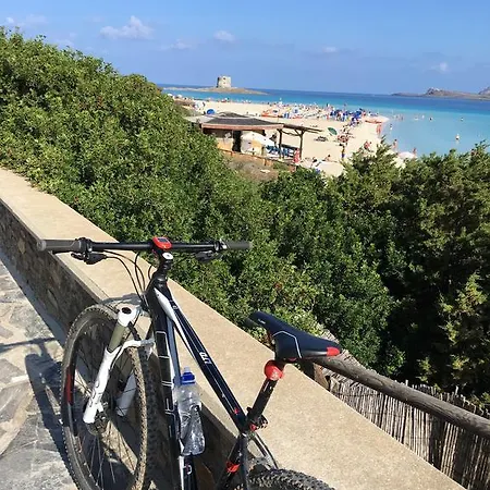 Hébergement de vacances Ema *